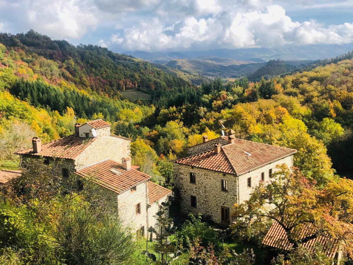Bio Agriturismo Il Vigno Caprese Michelangelo Exterior photo