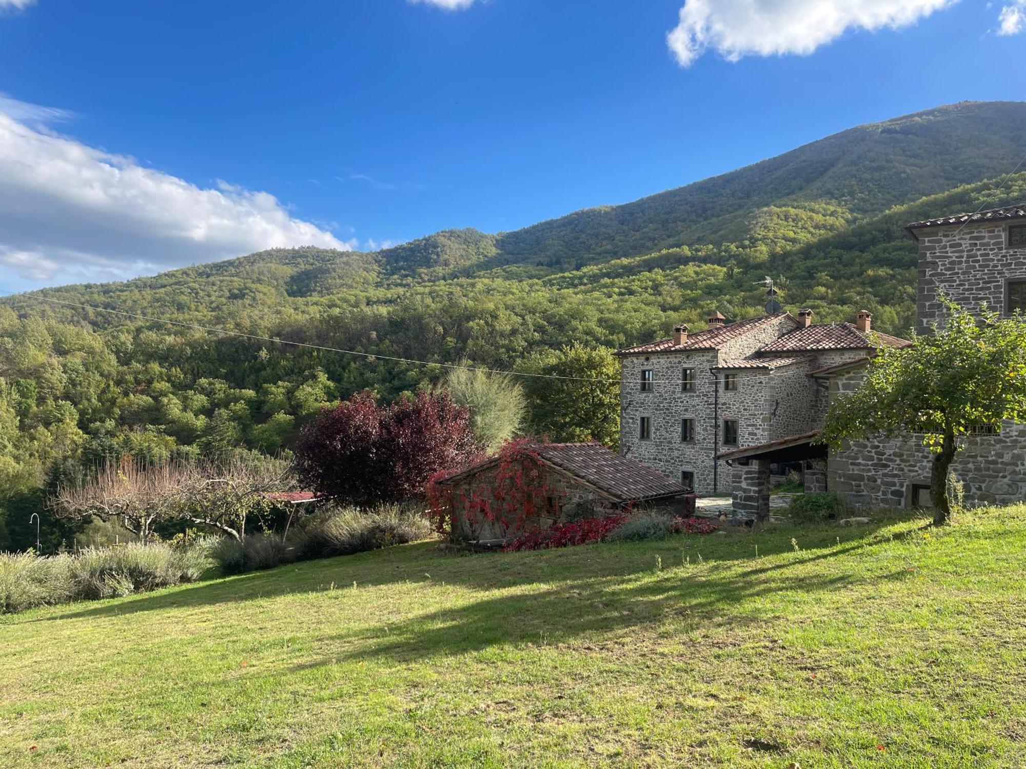 Bio Agriturismo Il Vigno Caprese Michelangelo Exterior photo