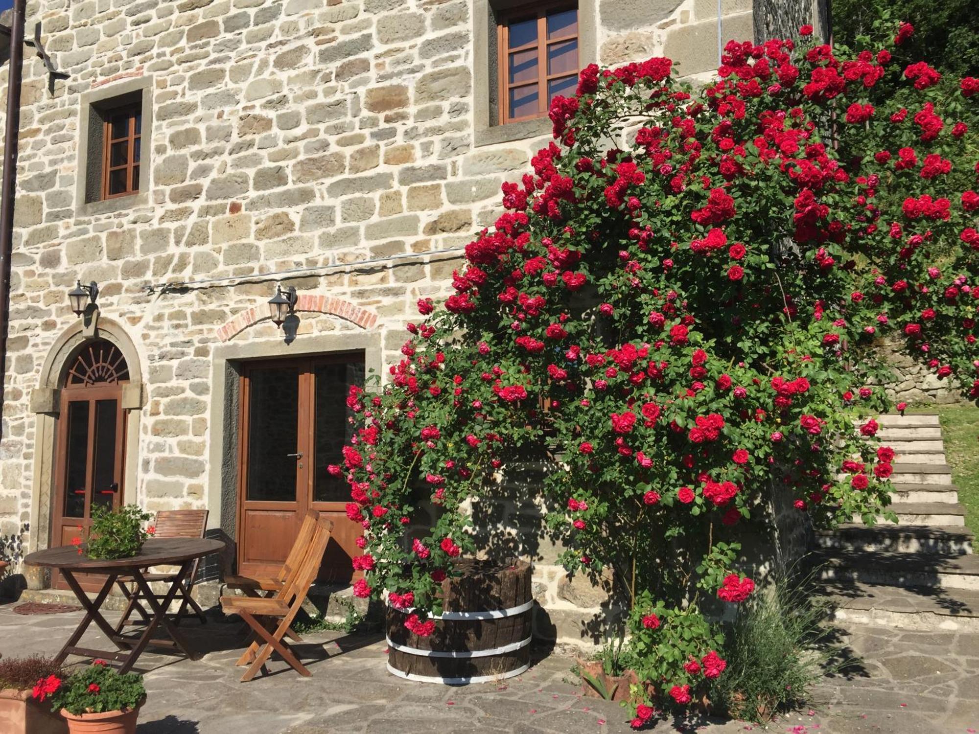 Bio Agriturismo Il Vigno Caprese Michelangelo Exterior photo